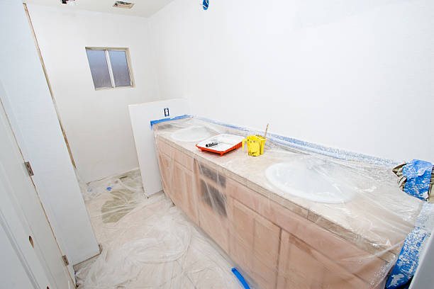 Best Drywall Crack Repair  in Pingree Grove, IL