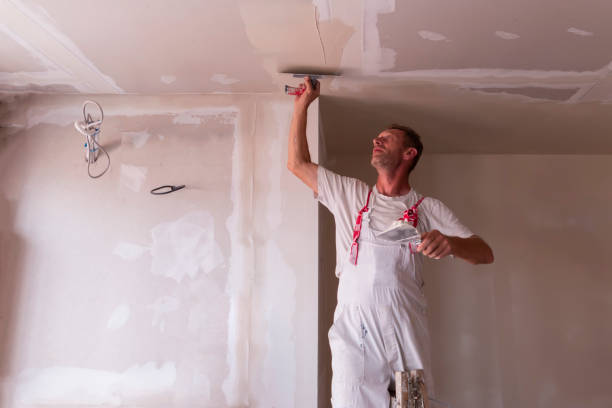  Pingree Grove, IL Dry wall and painting Pros