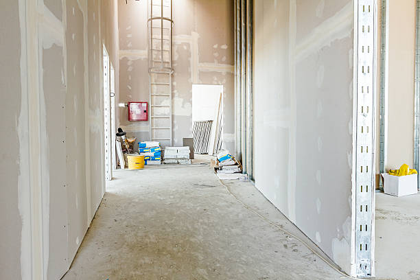 Best Fire-Damaged Drywall Repair  in Pingree Grove, IL